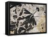 Ginkgo Sp. Fossil Leaves-Volker Steger-Framed Stretched Canvas