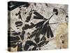 Ginkgo Sp. Fossil Leaves-Volker Steger-Stretched Canvas