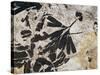 Ginkgo Sp. Fossil Leaves-Volker Steger-Stretched Canvas