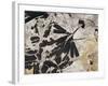 Ginkgo Sp. Fossil Leaves-Volker Steger-Framed Photographic Print