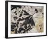Ginkgo Sp. Fossil Leaves-Volker Steger-Framed Photographic Print