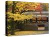 Ginkgo Tree, Garden of Nanzenji Temple, Kyoto, Kansai, Honshu, Japan-Schlenker Jochen-Stretched Canvas