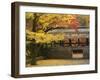 Ginkgo Tree, Garden of Nanzenji Temple, Kyoto, Kansai, Honshu, Japan-Schlenker Jochen-Framed Photographic Print