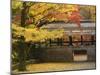 Ginkgo Tree, Garden of Nanzenji Temple, Kyoto, Kansai, Honshu, Japan-Schlenker Jochen-Mounted Photographic Print