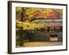 Ginkgo Tree, Garden of Nanzenji Temple, Kyoto, Kansai, Honshu, Japan-Schlenker Jochen-Framed Photographic Print