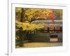 Ginkgo Tree, Garden of Nanzenji Temple, Kyoto, Kansai, Honshu, Japan-Schlenker Jochen-Framed Photographic Print