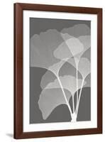 Ginkgos I-Steven N^ Meyers-Framed Art Print