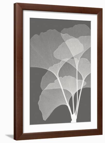 Ginkgos I-Steven N^ Meyers-Framed Art Print