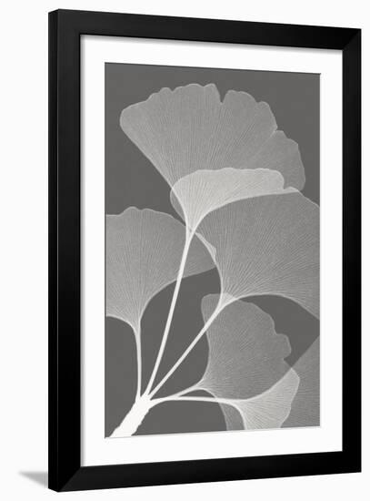 Ginkgos II-Steven N^ Meyers-Framed Art Print