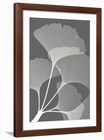 Ginkgos II-Steven N^ Meyers-Framed Art Print