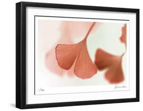 Ginko 2-Florence Delva-Framed Limited Edition