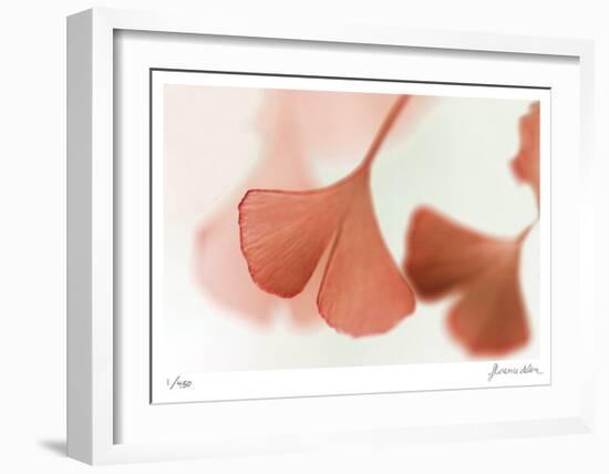 Ginko 2-Florence Delva-Framed Limited Edition