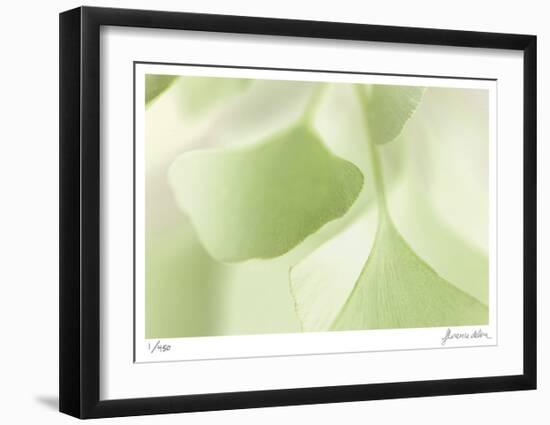 Ginko 3-Florence Delva-Framed Limited Edition