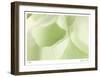 Ginko 3-Florence Delva-Framed Limited Edition