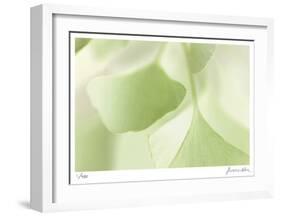 Ginko 3-Florence Delva-Framed Limited Edition