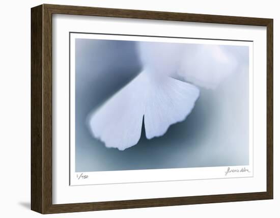 Ginko 4-Florence Delva-Framed Limited Edition