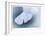 Ginko 4-Florence Delva-Framed Limited Edition