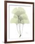 Ginko E162-Albert Koetsier-Framed Photographic Print