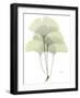 Ginko E162-Albert Koetsier-Framed Photographic Print