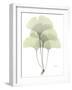 Ginko E162-Albert Koetsier-Framed Photographic Print