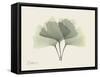 Ginko Moments-Albert Koetsier-Framed Stretched Canvas