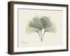 Ginko Moments-Albert Koetsier-Framed Art Print