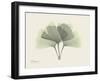 Ginko Moments-Albert Koetsier-Framed Art Print