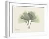 Ginko Moments-Albert Koetsier-Framed Art Print