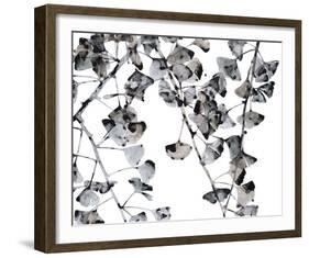 Ginko Noir-Jackie Battenfield-Framed Giclee Print