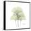 Ginko Portrait 1-Albert Koetsier-Framed Stretched Canvas