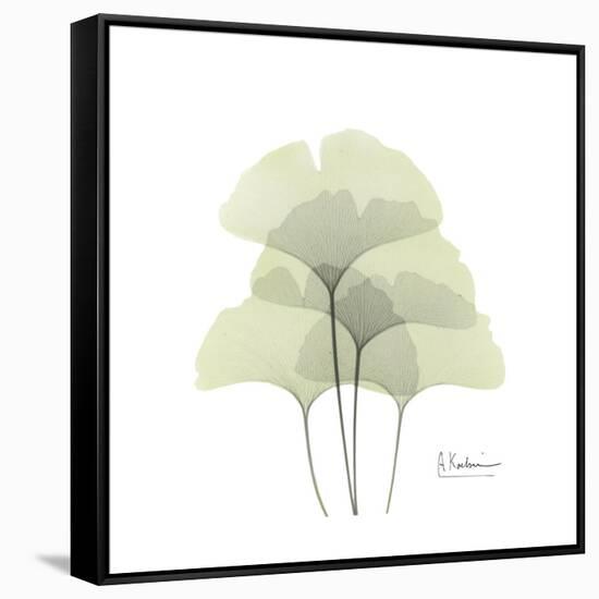 Ginko Portrait 1-Albert Koetsier-Framed Stretched Canvas