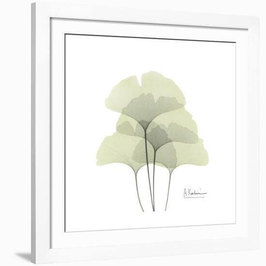 Ginko Portrait 1-Albert Koetsier-Framed Premium Giclee Print