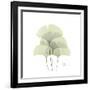 Ginko Portrait 1-Albert Koetsier-Framed Premium Giclee Print