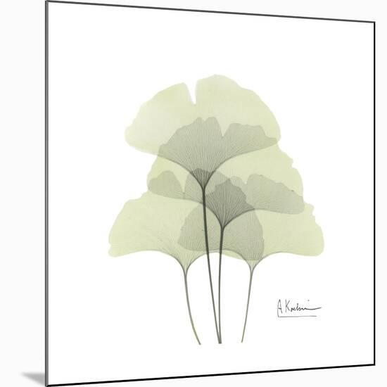 Ginko Portrait 1-Albert Koetsier-Mounted Premium Giclee Print