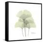 Ginko Portrait 1-Albert Koetsier-Framed Stretched Canvas