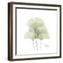 Ginko Portrait 1-Albert Koetsier-Framed Premium Giclee Print