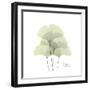 Ginko Portrait 1-Albert Koetsier-Framed Premium Giclee Print