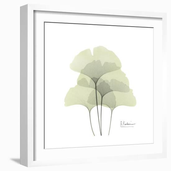 Ginko Portrait 1-Albert Koetsier-Framed Premium Giclee Print