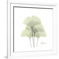 Ginko Portrait 1-Albert Koetsier-Framed Premium Giclee Print