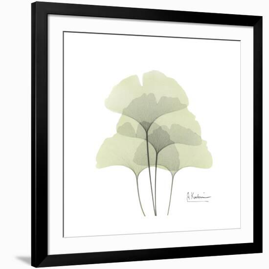 Ginko Portrait 1-Albert Koetsier-Framed Premium Giclee Print