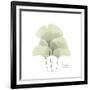 Ginko Portrait 1-Albert Koetsier-Framed Premium Giclee Print