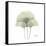 Ginko Portrait 2-Albert Koetsier-Framed Stretched Canvas