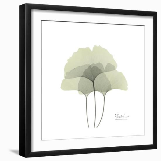 Ginko Portrait 2-Albert Koetsier-Framed Premium Giclee Print