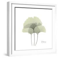 Ginko Portrait 2-Albert Koetsier-Framed Premium Giclee Print