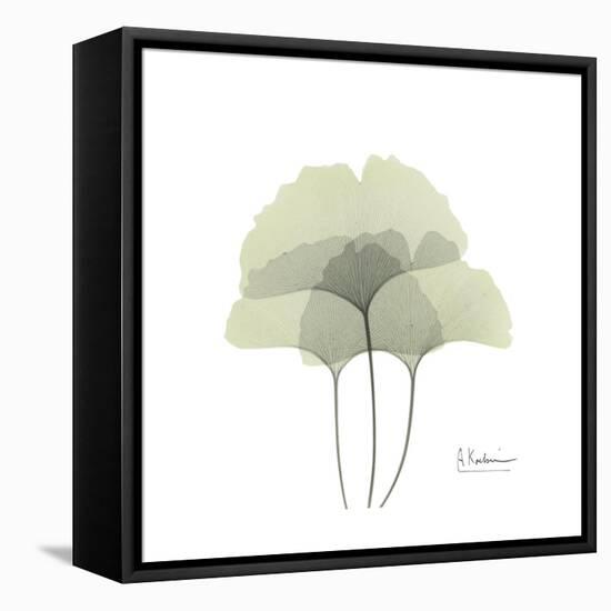 Ginko Portrait 2-Albert Koetsier-Framed Stretched Canvas