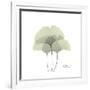 Ginko Portrait 2-Albert Koetsier-Framed Premium Giclee Print