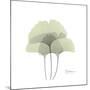 Ginko Portrait 2-Albert Koetsier-Mounted Premium Giclee Print