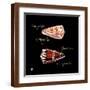 Brown Frame