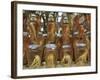 Ginseng, Namdaemun Market, Seoul, South Korea, Asia-Wendy Connett-Framed Photographic Print