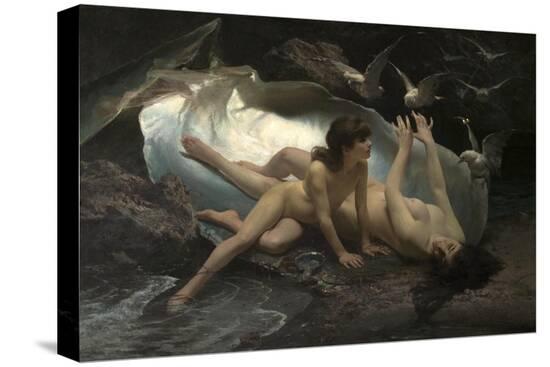Stretched Canvas Print, , large